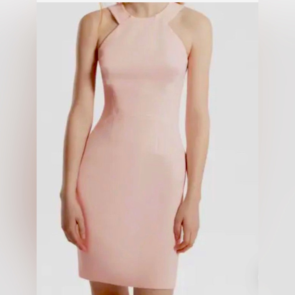 French connection blush pencil dress with halter neck. New with tags size 2.